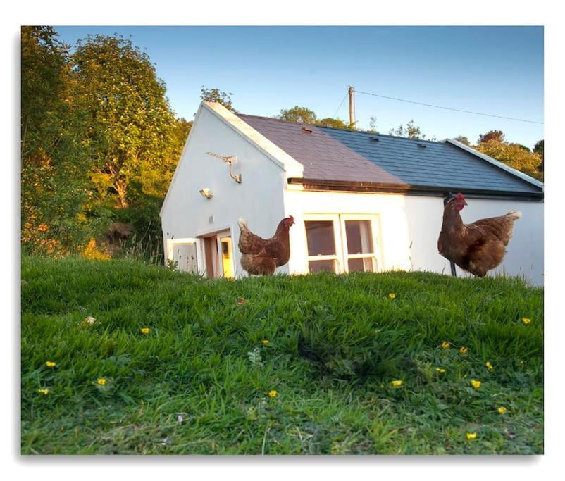 Cosy Self Contained Cottage With Stunning Views คิลลาโล ภายนอก รูปภาพ