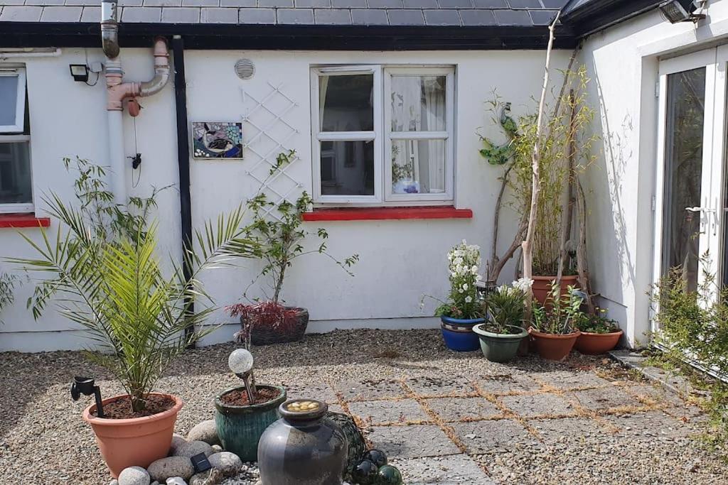 Cosy Self Contained Cottage With Stunning Views คิลลาโล ภายนอก รูปภาพ